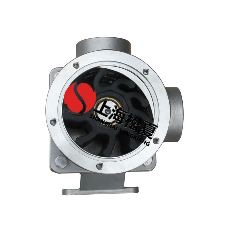 自平衡柔性叶轮泵完成自吸的方式